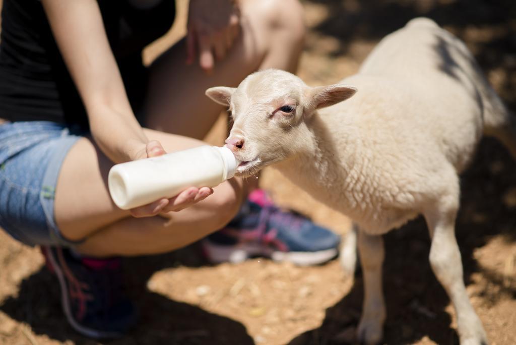 Agroturismo Sa Marina Alquería Blanca المظهر الخارجي الصورة